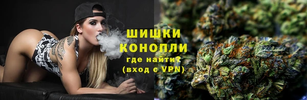 прущие грибы Бронницы