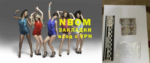 прущие грибы Бронницы