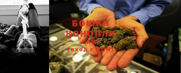 прущие грибы Бронницы