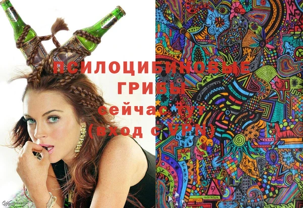 гидра Бугульма