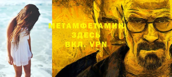 прущие грибы Бронницы