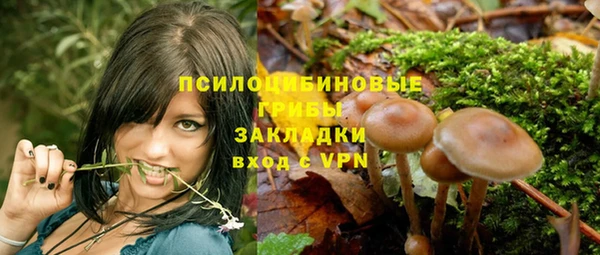 прущие грибы Бронницы