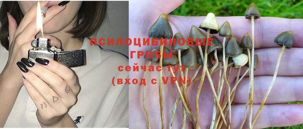 прущие грибы Бронницы