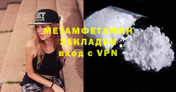 прущие грибы Бронницы