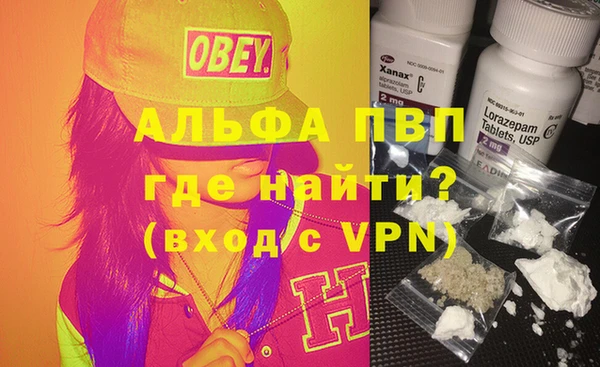 прущие грибы Бронницы